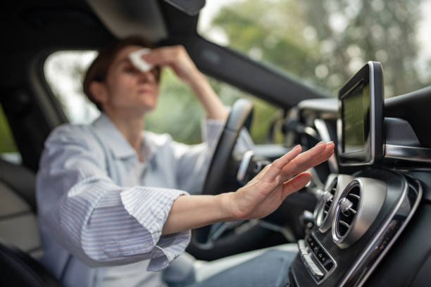 Best Affordable Air Conditioning Repair  in Mayville, WI
